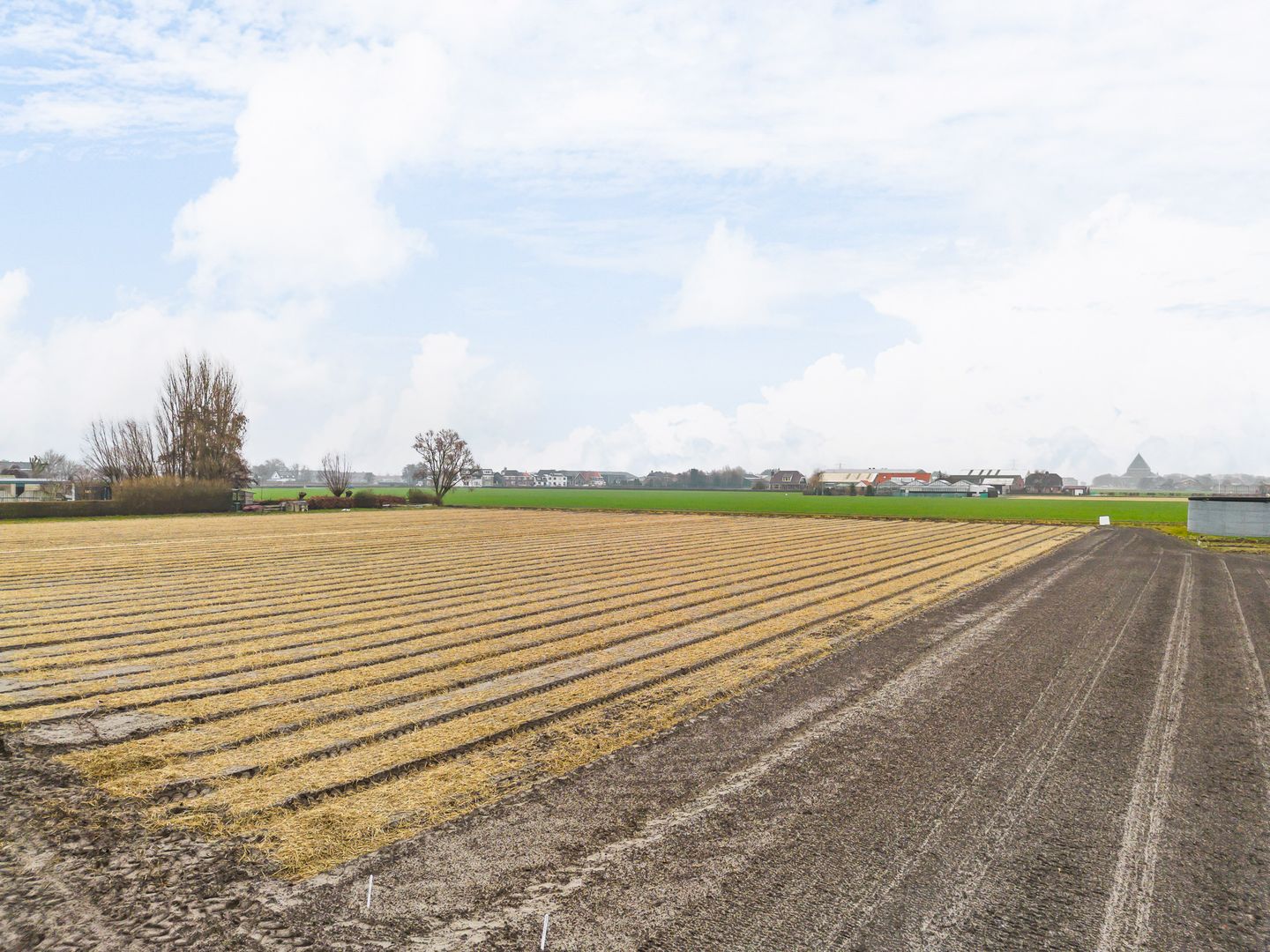 Foto 29 van Torenlaan 11