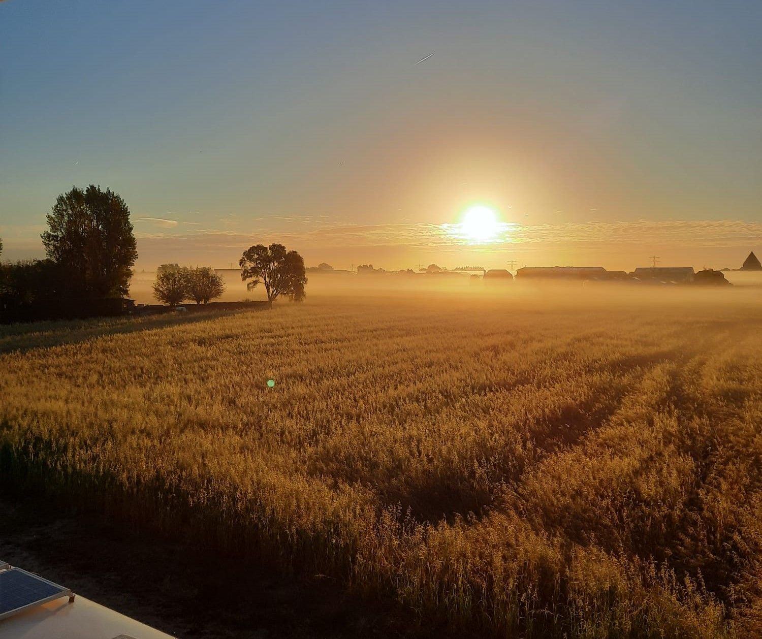 Foto 30 van Torenlaan 11