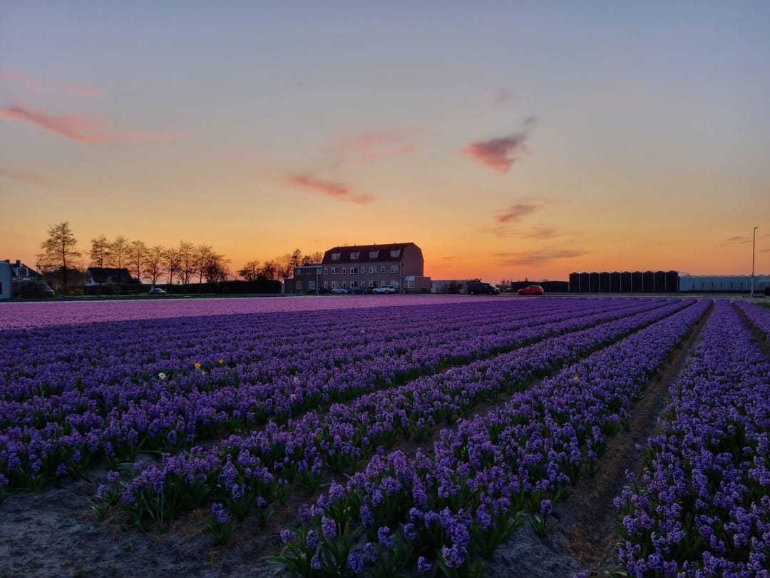 Foto 32 van Torenlaan 11