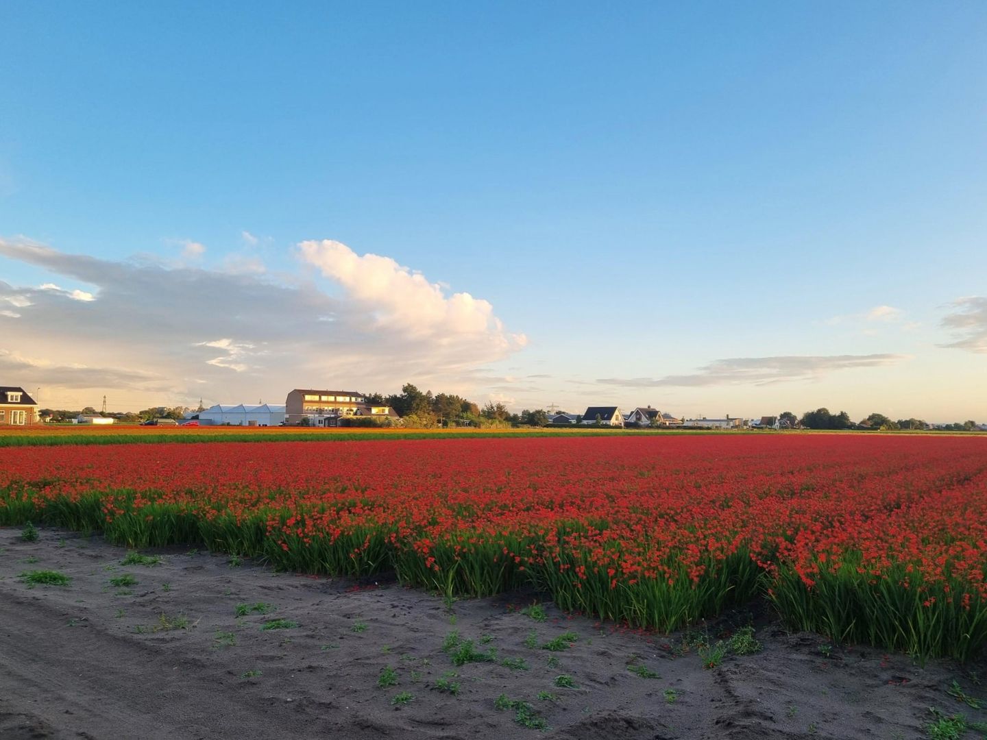 Foto 34 van Torenlaan 11