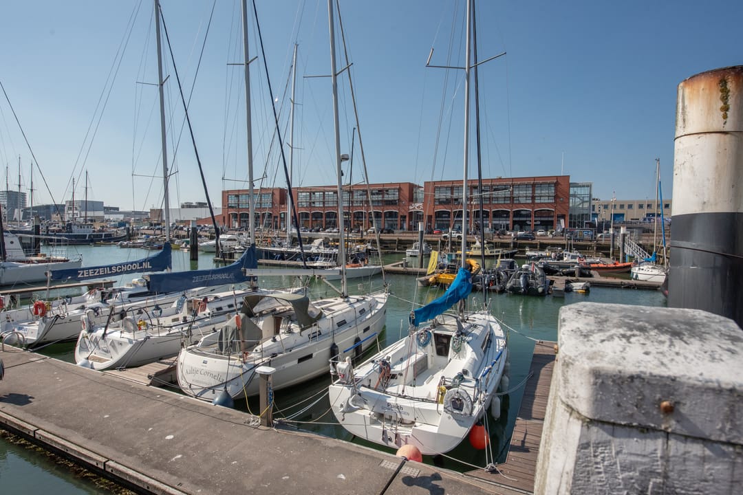 Foto 46 van Van Boetzelaerlaan 284