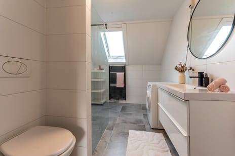 Schermer 38 tertiary image