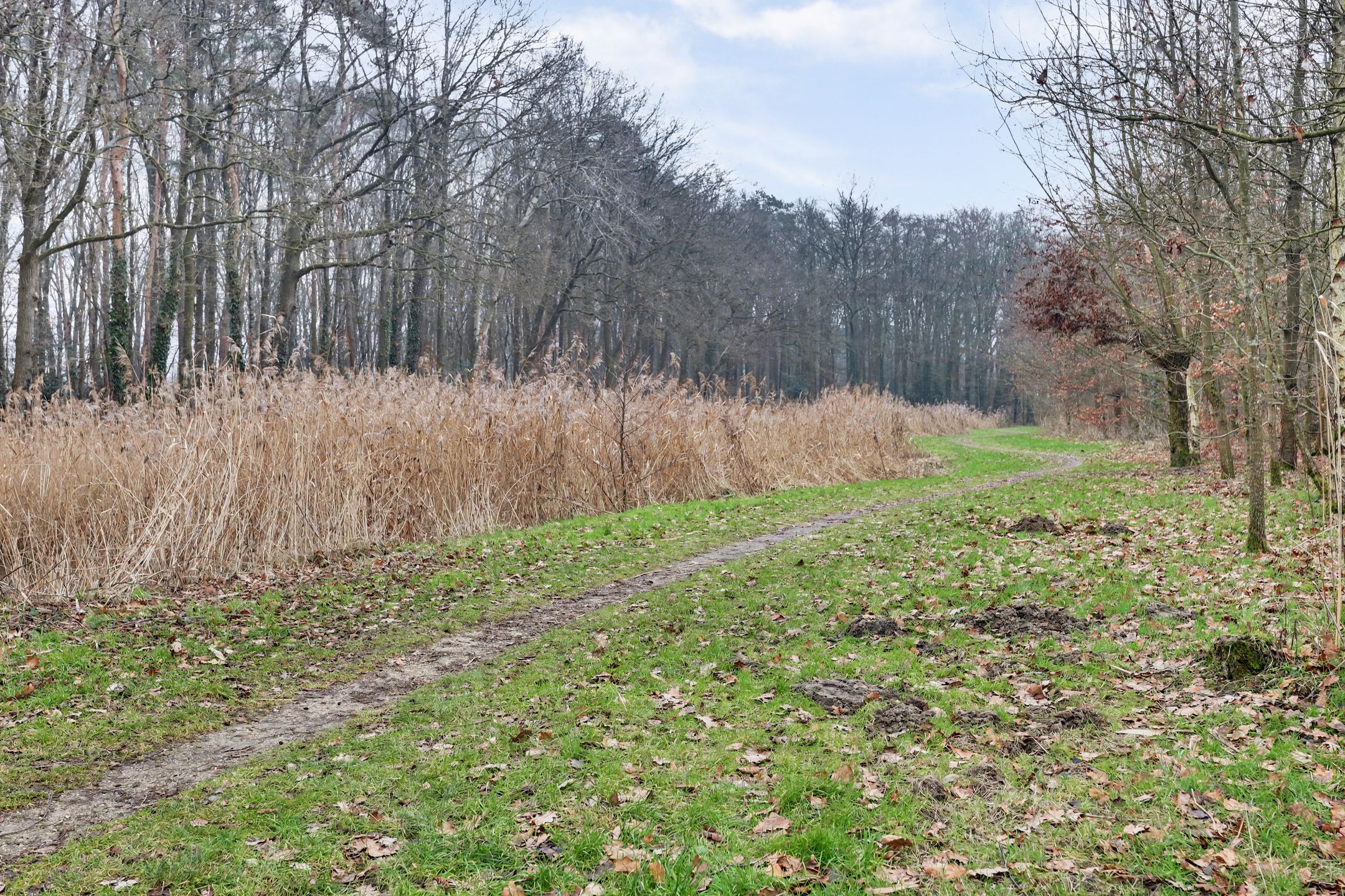 Photo 33 of Esmarkelaan 404