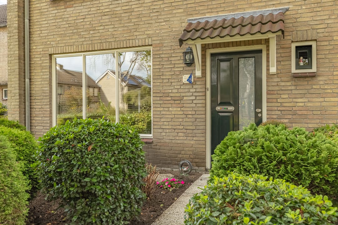 Foto 7 van Papierberk 25