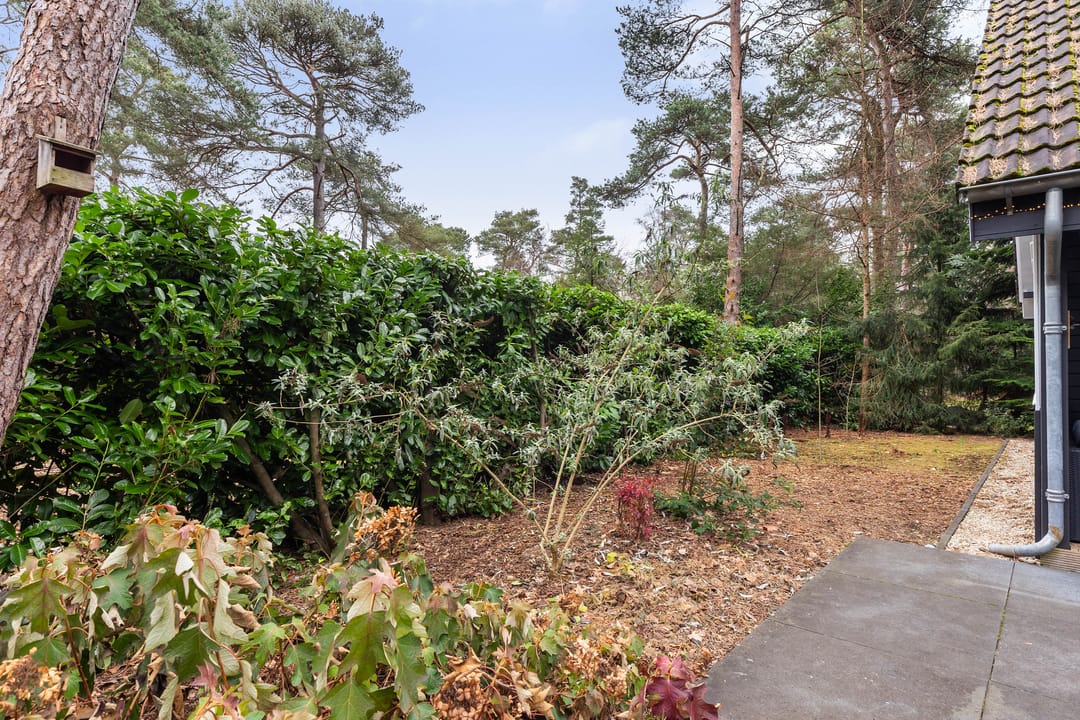 Photo 32 of Hanendorperweg 352