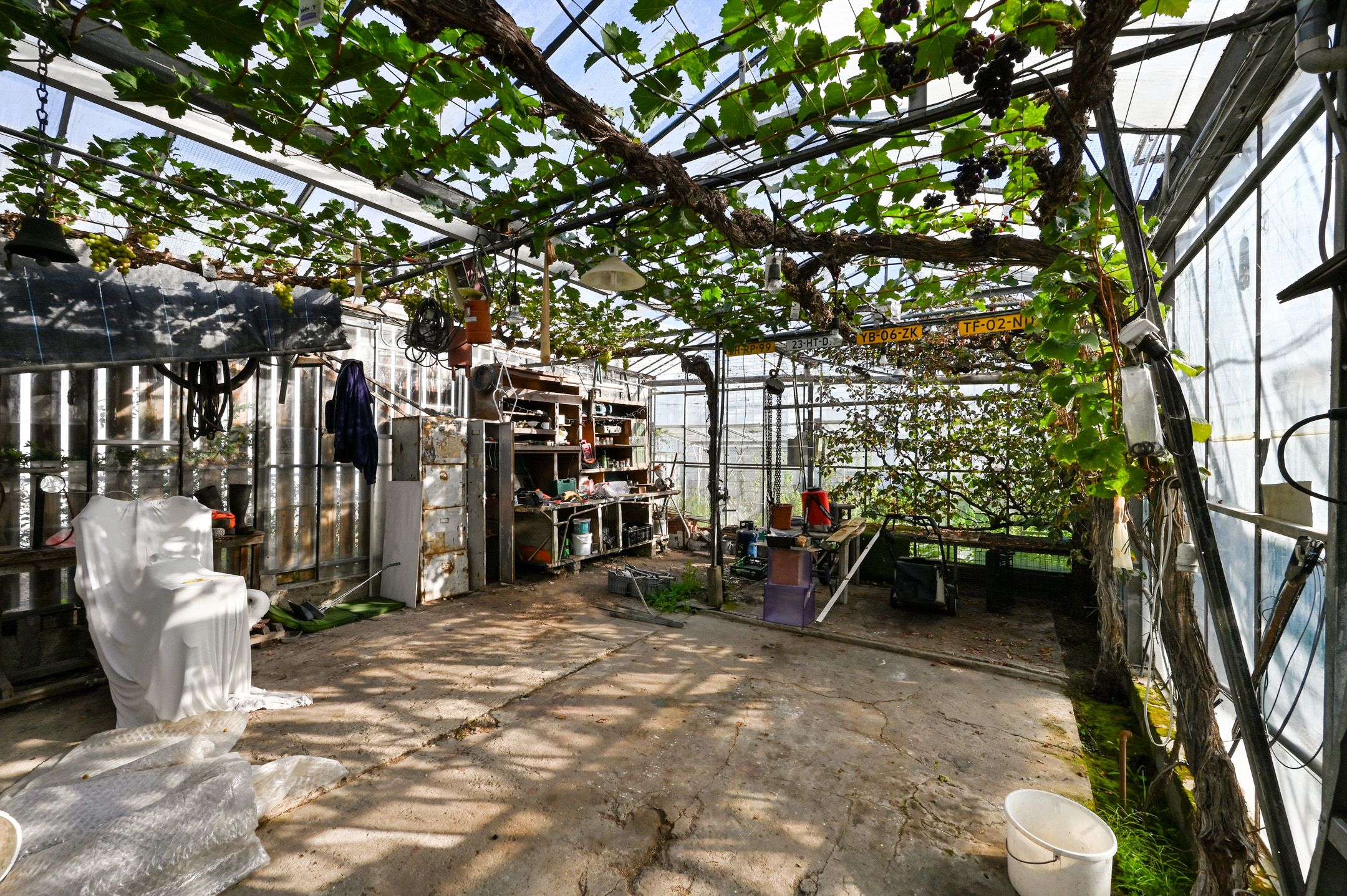 Photo 30 of Monsterseweg 41-A