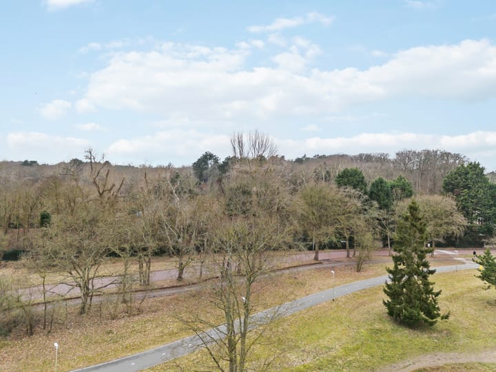 Foto 51 van Driehuizerkerkweg 204