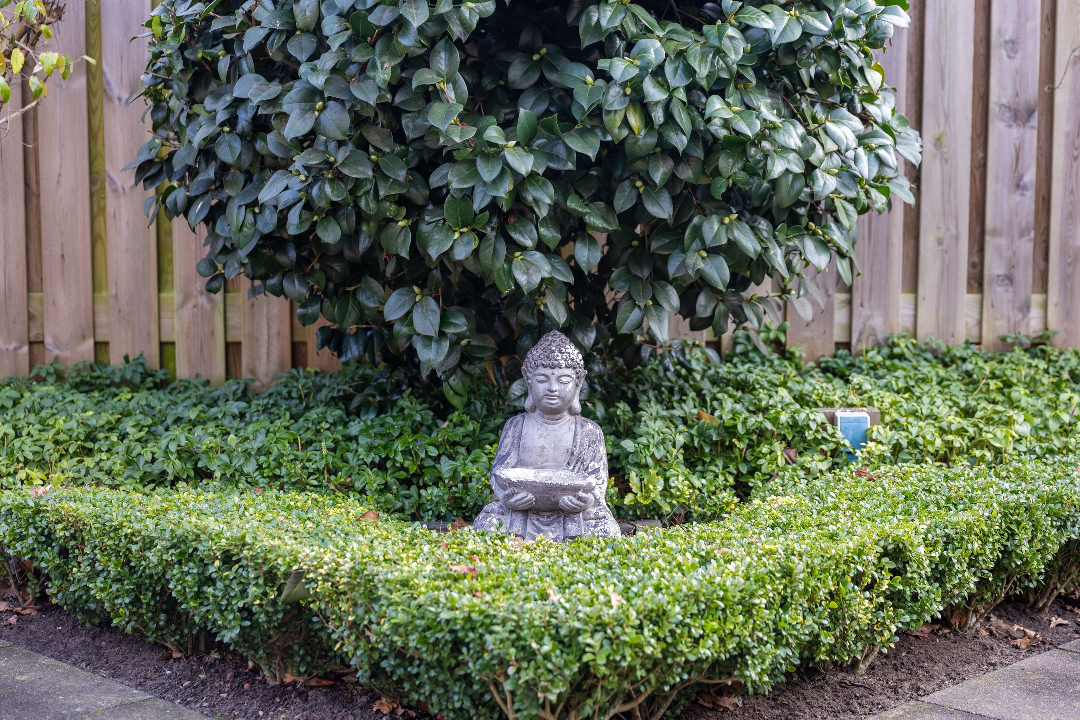 Photo 24 of Schaepmanstraat 32