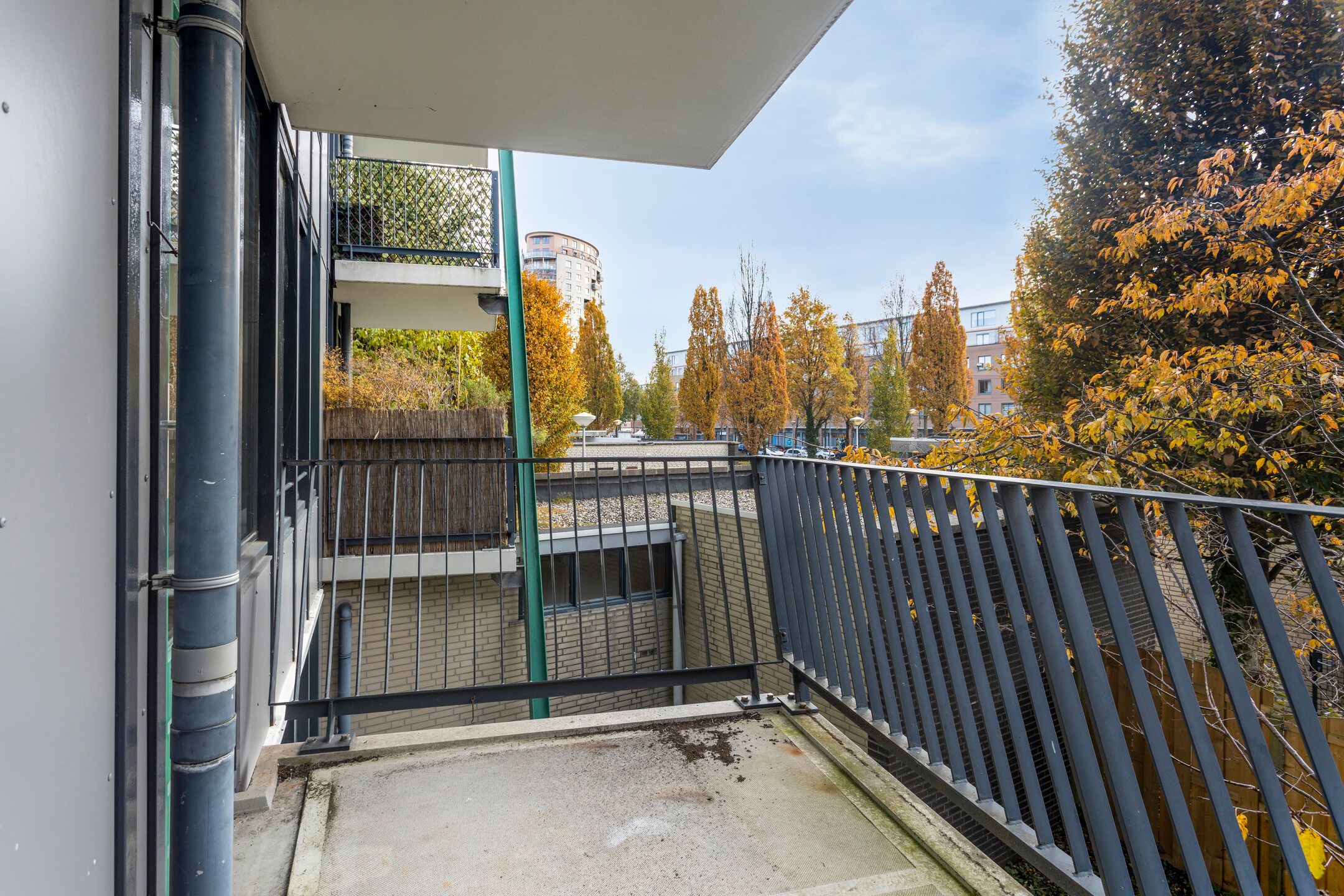 Foto 9 van Berlaarstraat 143