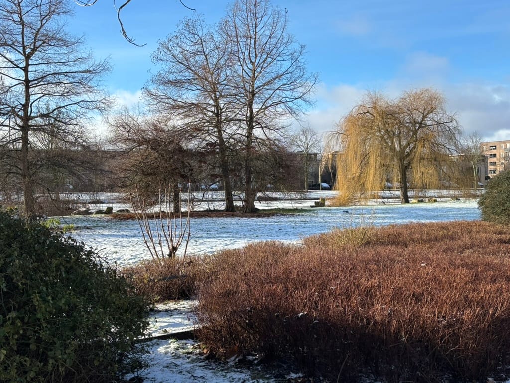 Foto 49 van Galle Promenade 135