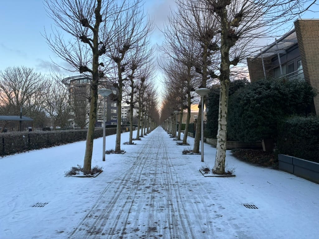 Foto 50 van Galle Promenade 135