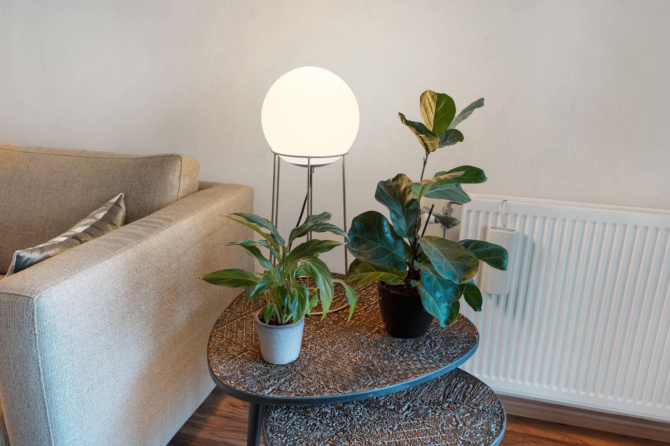 Foto 24 van De Eendracht 37