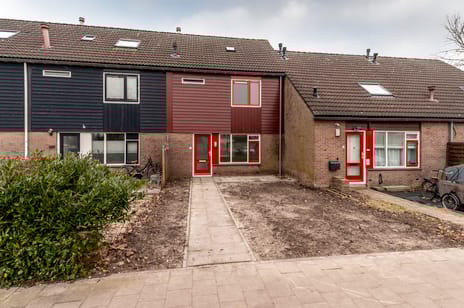 undefined main image