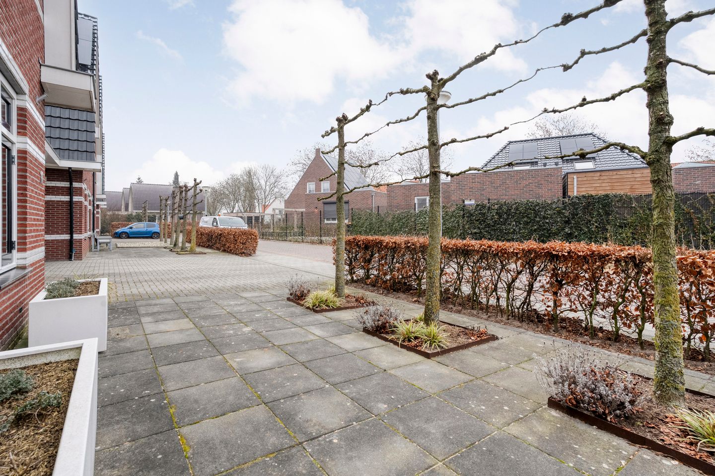 Foto 5 van Moesdistel 11