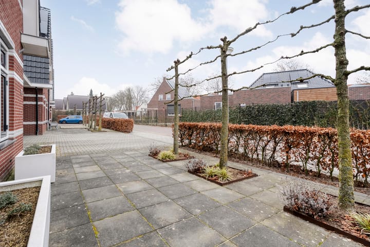 Foto 5 van Moesdistel 11