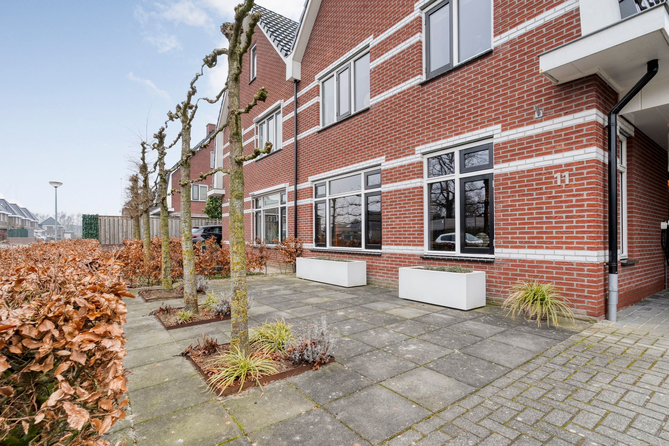 Foto 6 van Moesdistel 11