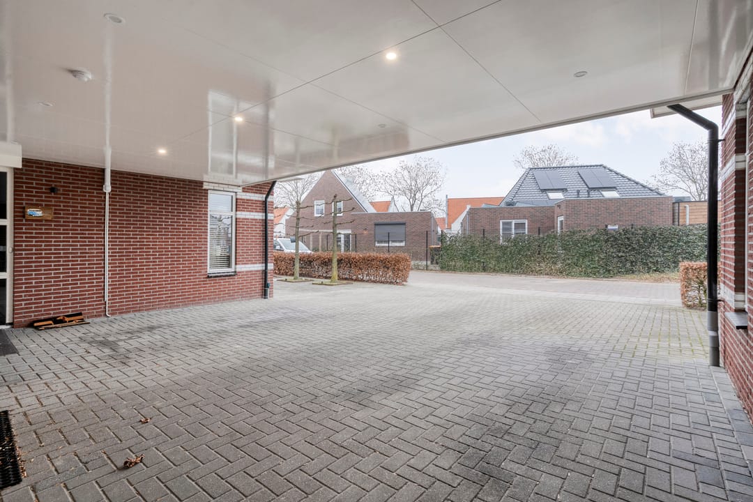 Foto 7 van Moesdistel 11