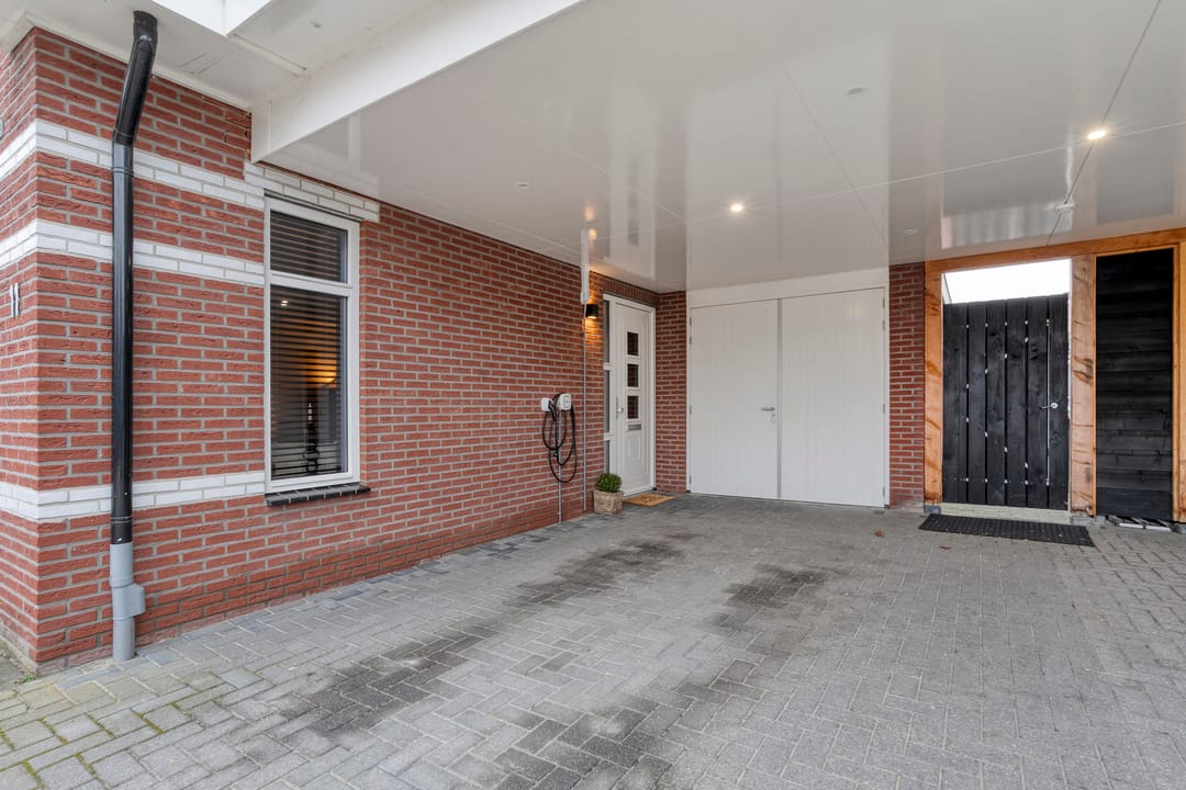 Foto 8 van Moesdistel 11