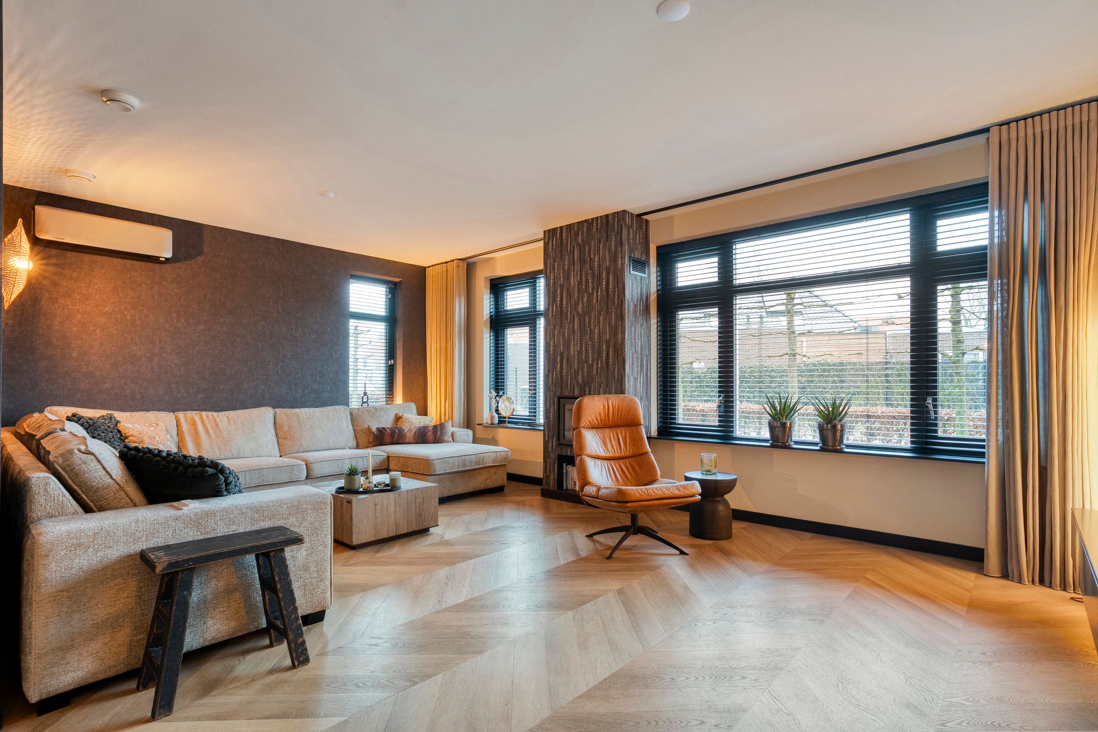 Foto 12 van Moesdistel 11