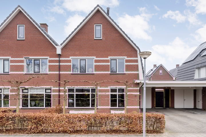 Foto 2 van Moesdistel 11