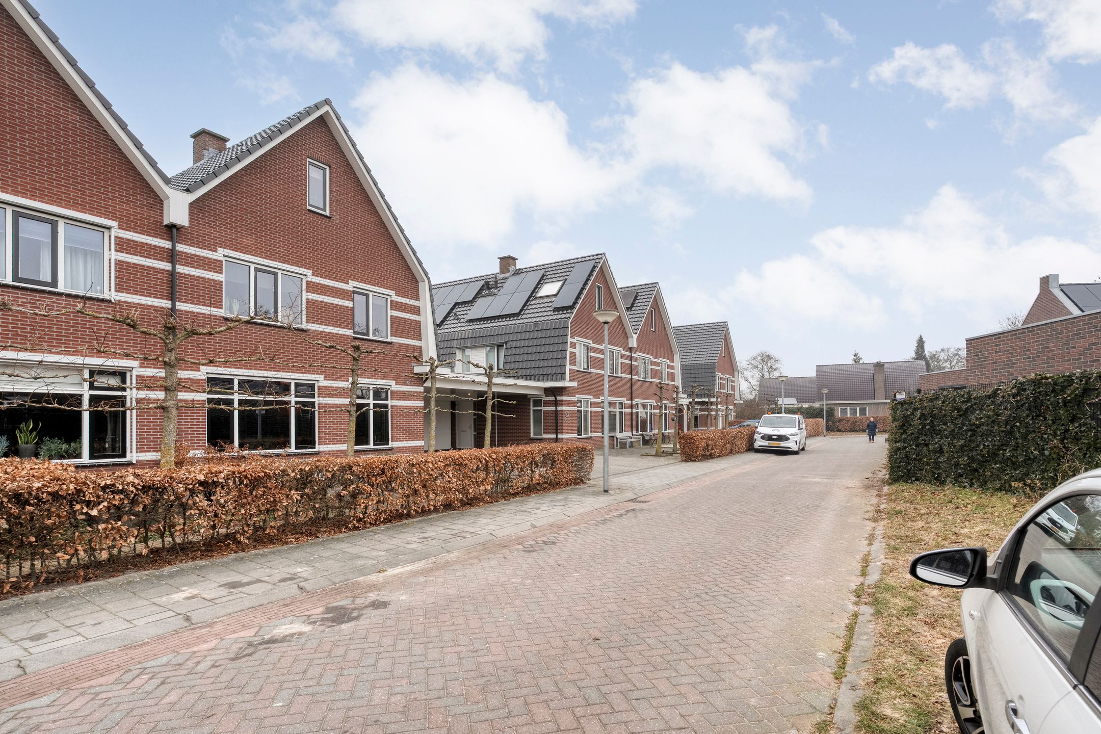 Foto 3 van Moesdistel 11