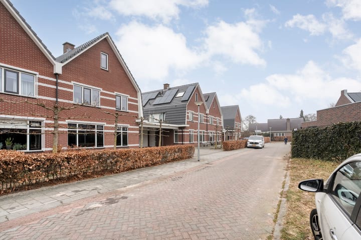 Foto 3 van Moesdistel 11