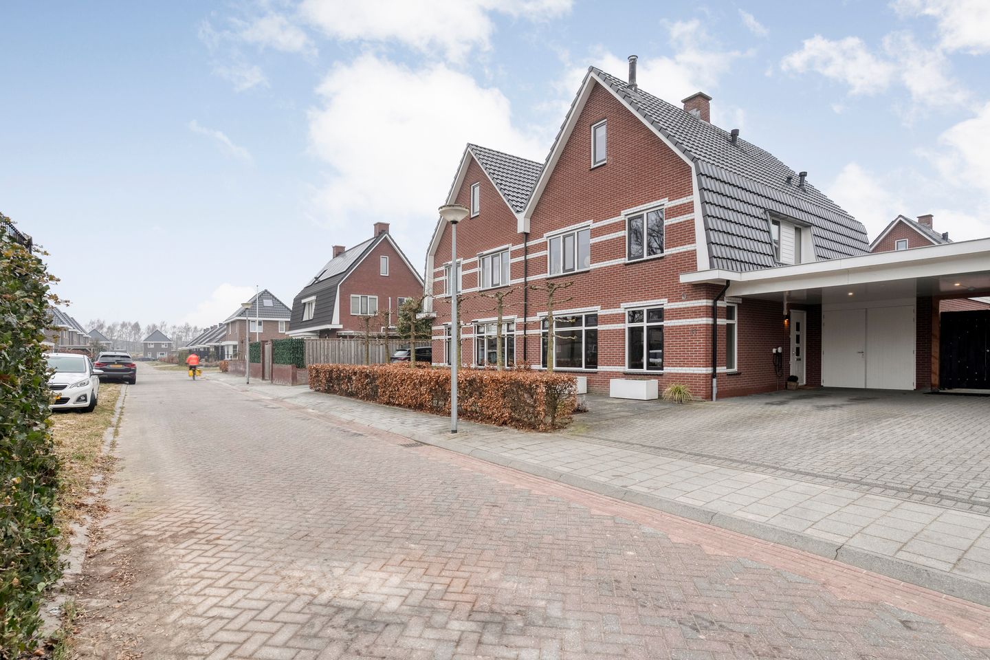 Foto 4 van Moesdistel 11