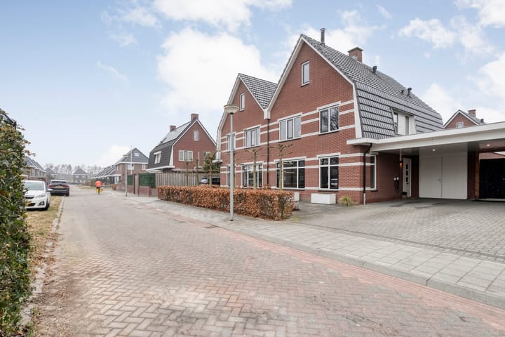 Foto 4 van Moesdistel 11