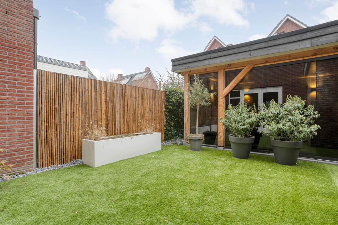 Foto 37 van Moesdistel 11