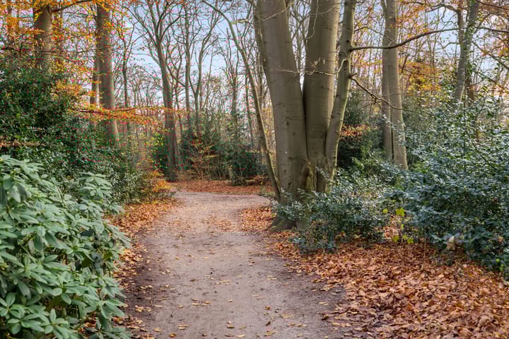 Foto 3 van Molenweg 50-115