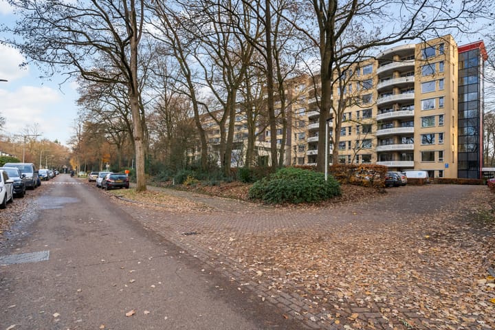 Foto 37 van Molenweg 50-115