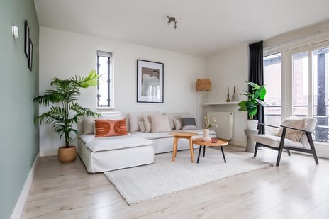 Flamenco 6 secondary image