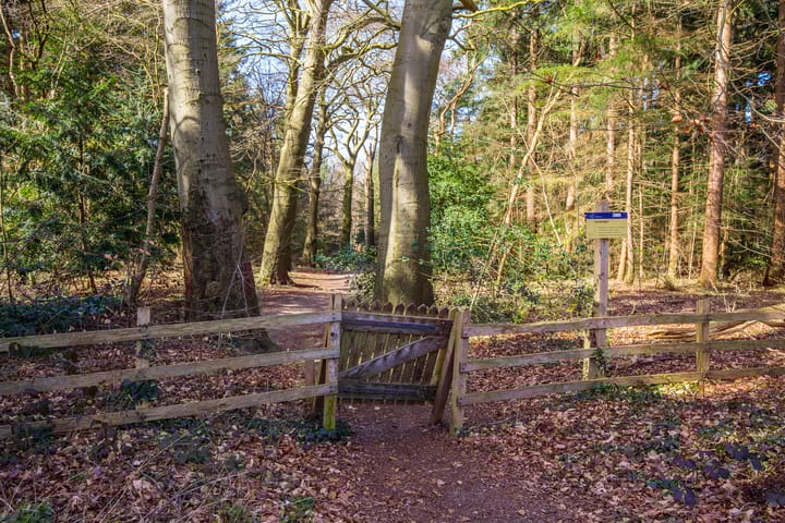 Foto 37 van Hilvertsweg 169