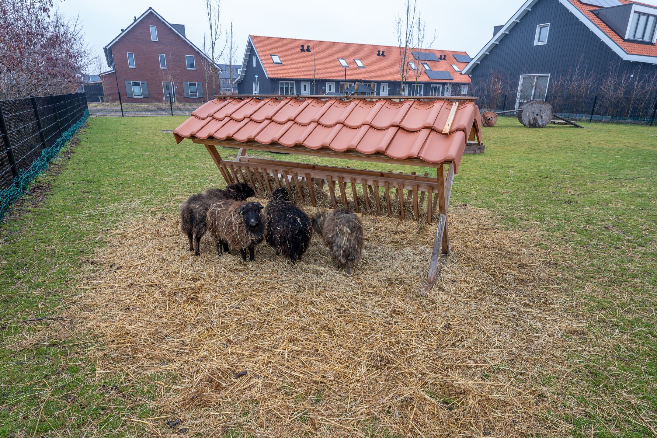 Foto 51 van Het Schild 19