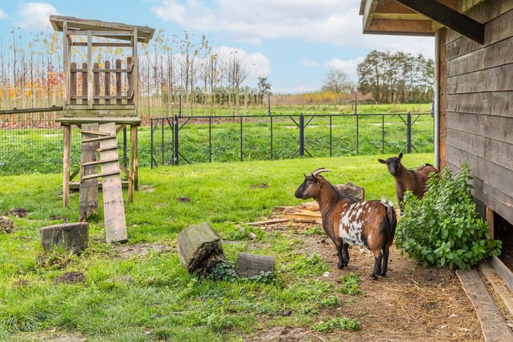 Photo 33 of Liniestraat 8