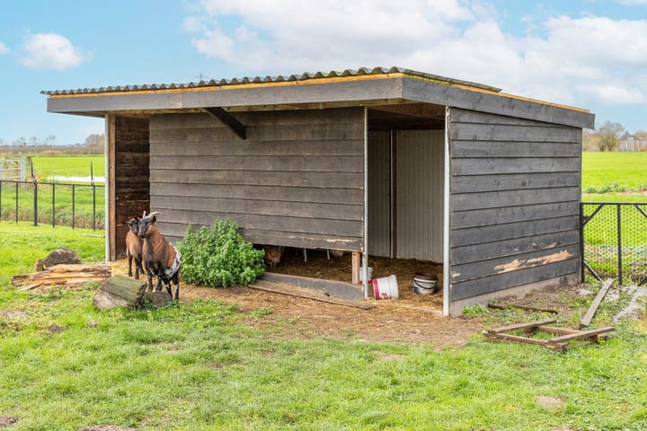 Photo 35 of Liniestraat 8