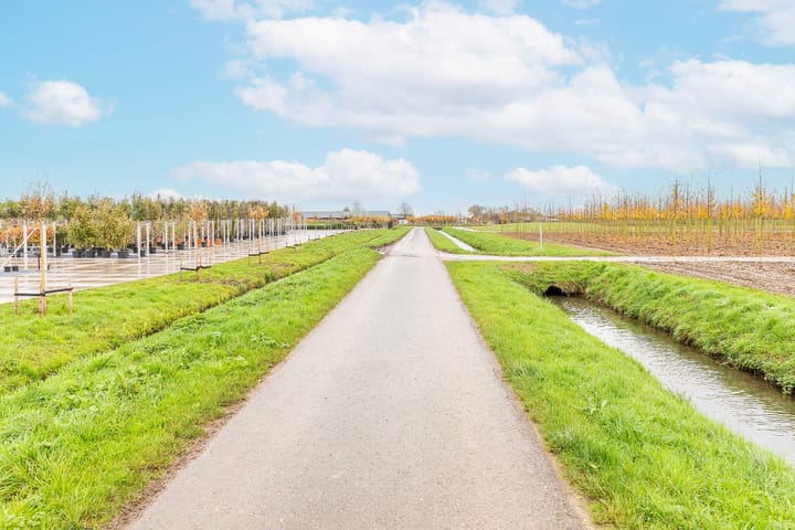 Photo 37 of Liniestraat 8