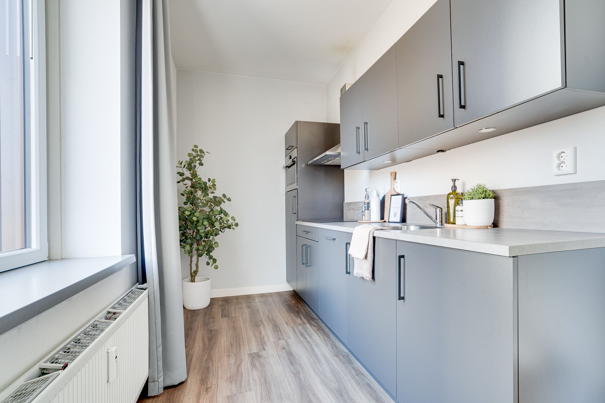 Foto 6 van Geelgors 1-26