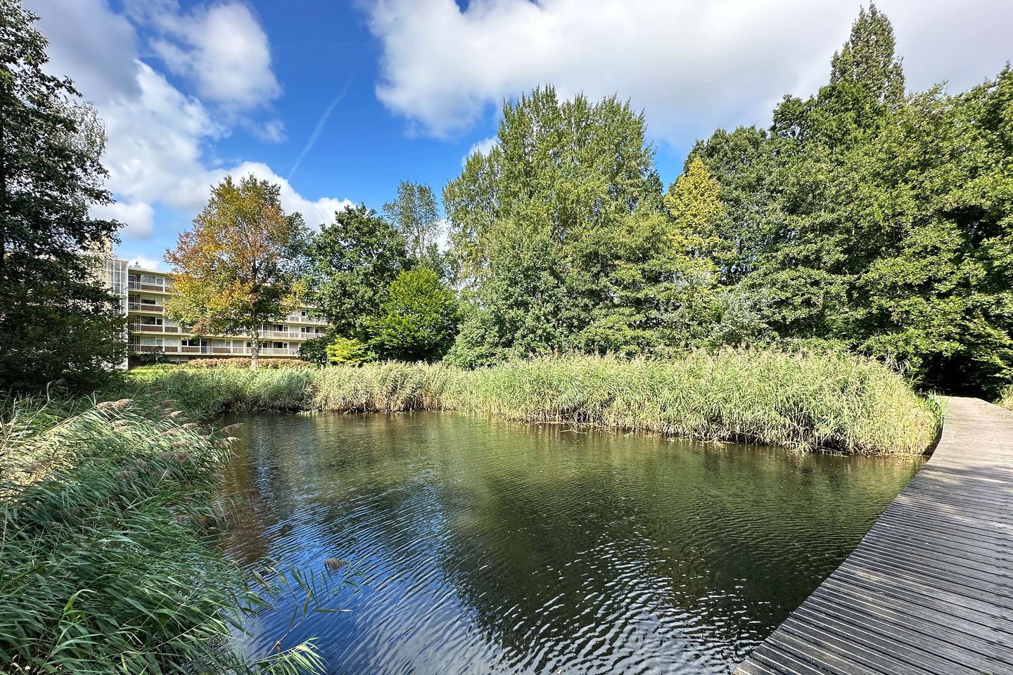 Foto 34 van Maarten Lutherweg 18