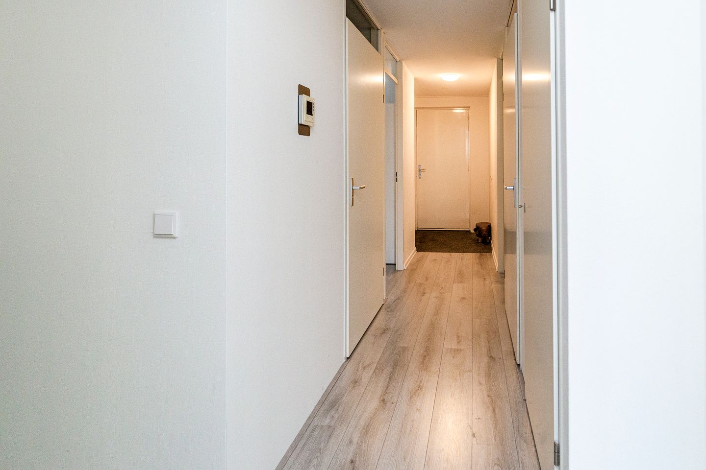 Foto 20 van Laan van Wateringse Veld 1384