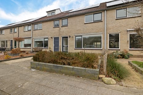 undefined main image