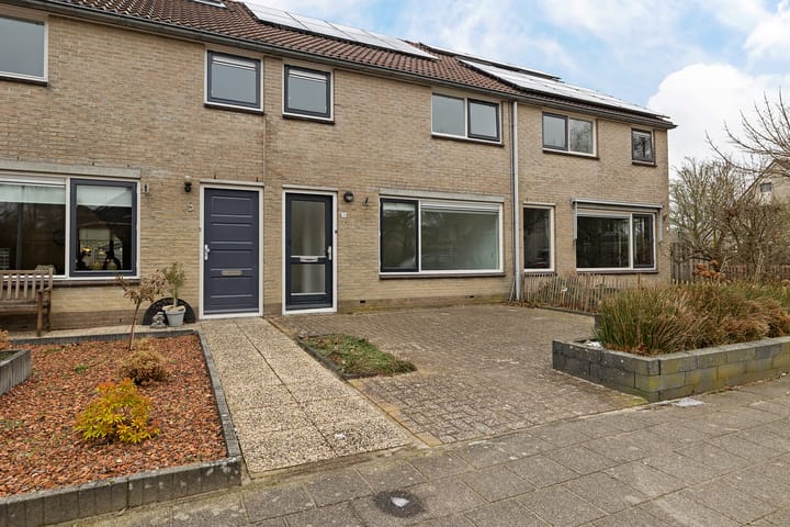 Foto 2 van Pijlkruid 3