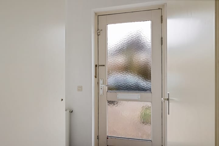 Foto 3 van Pijlkruid 3