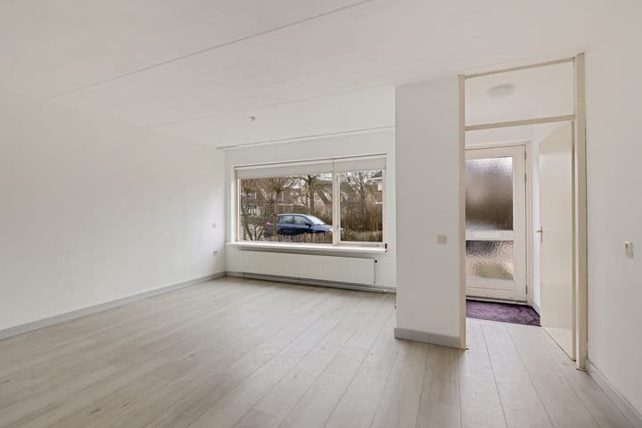 Foto 4 van Pijlkruid 3