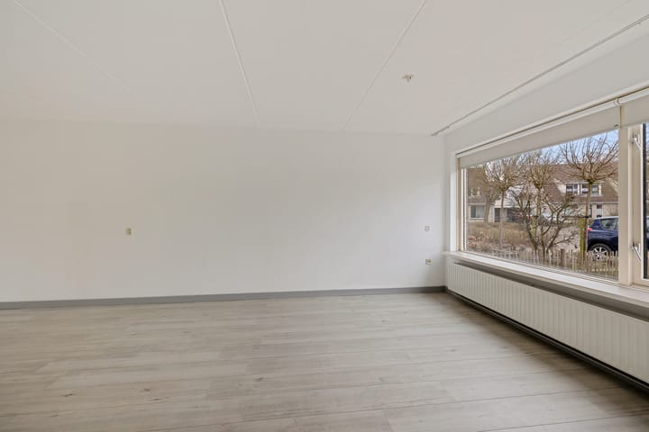 Foto 5 van Pijlkruid 3