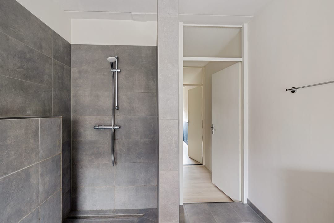 Photo 17 of Pijlkruid 3