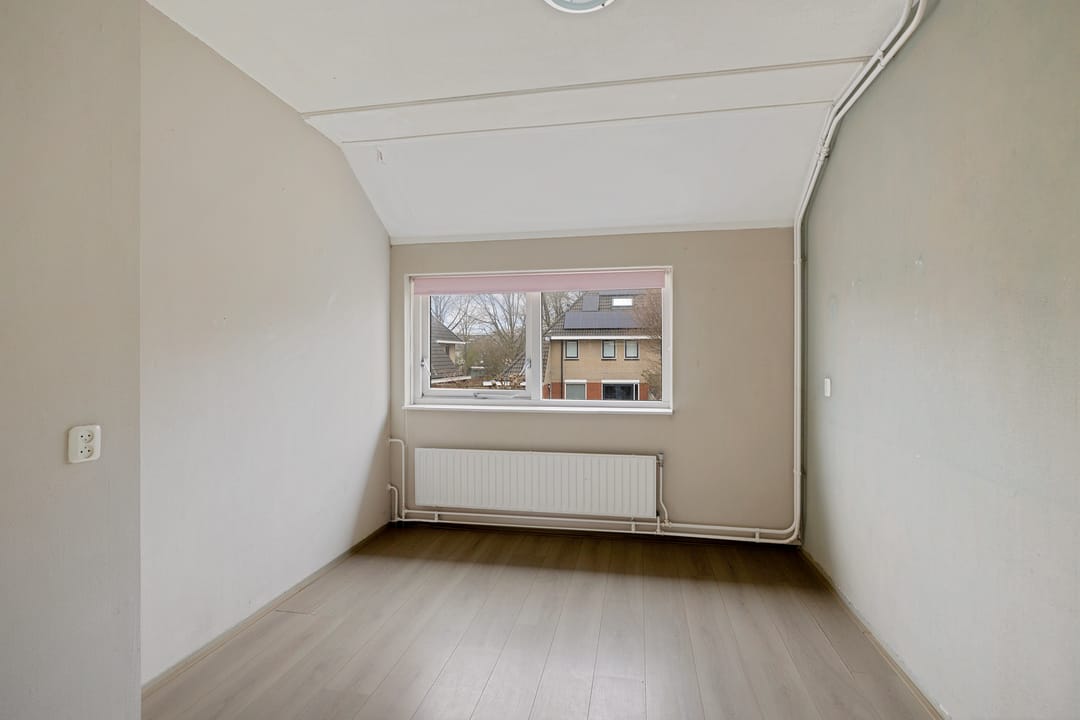 Photo 22 of Pijlkruid 3