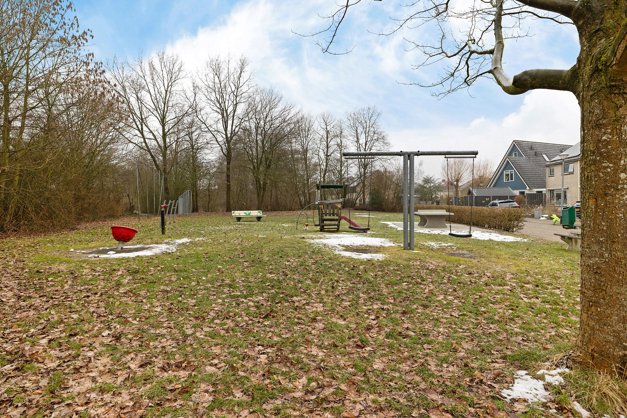 Photo 27 of Pijlkruid 3