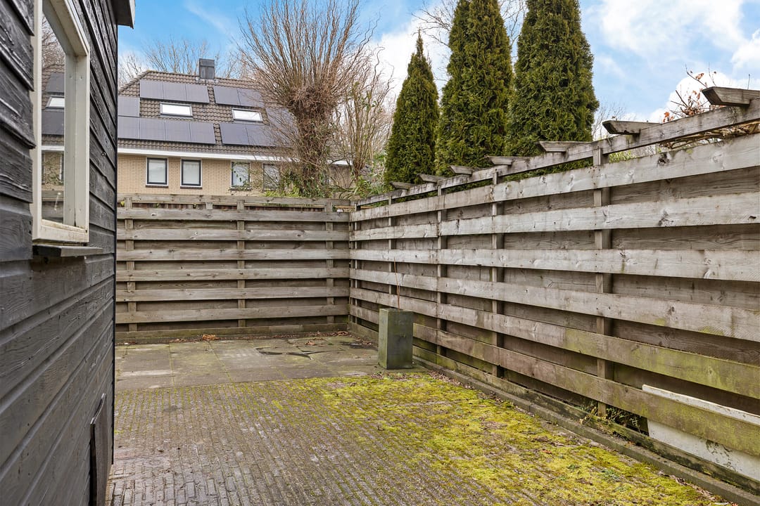 Photo 28 of Pijlkruid 3