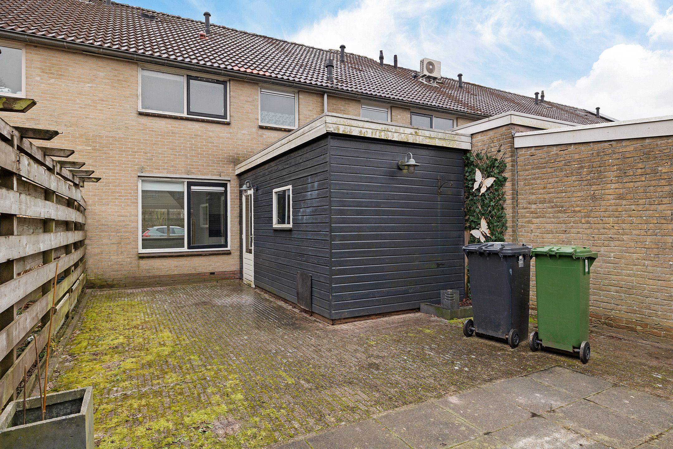 Photo 30 of Pijlkruid 3